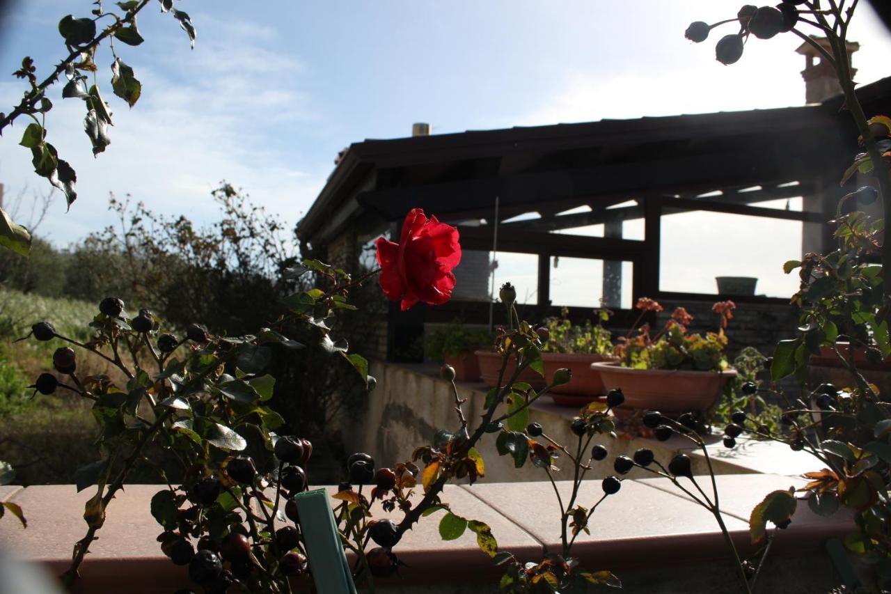 Bed and Breakfast La Casa Di Bia Корлеоне Экстерьер фото