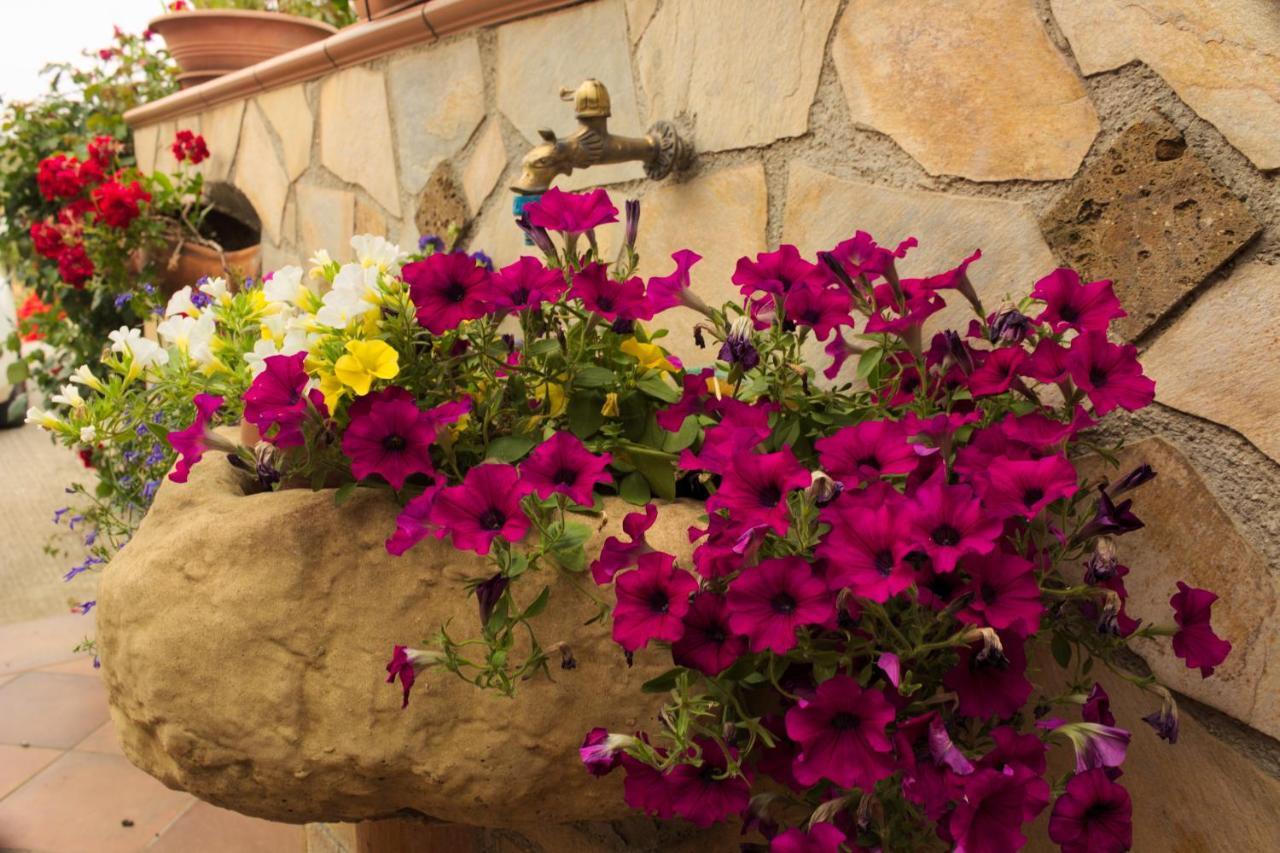 Bed and Breakfast La Casa Di Bia Корлеоне Экстерьер фото